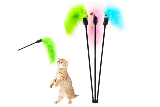  Cat Playing Stick Feather low 