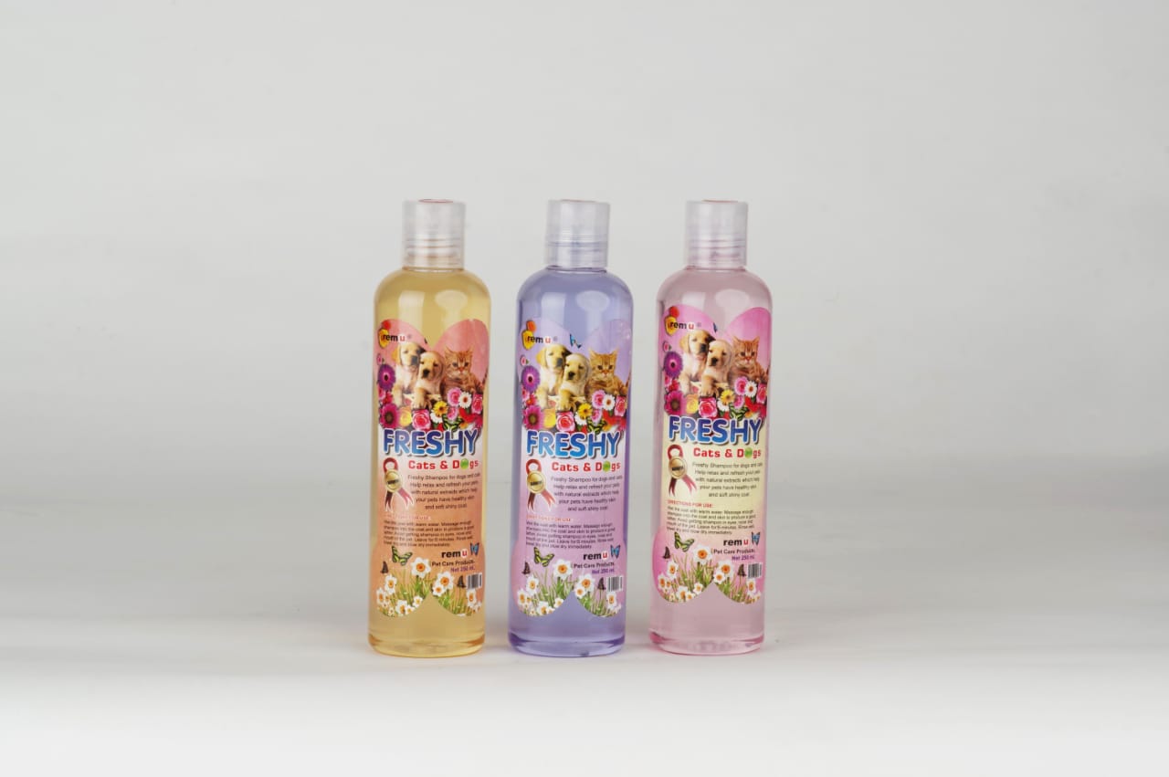 Freshy shampo 320ml