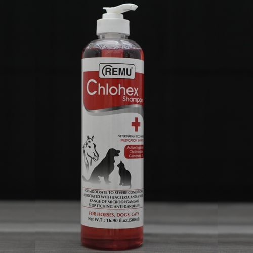  Cholorex shampo 500ml 
