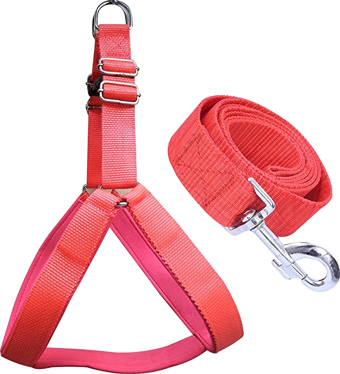 Dog Body Harness With Leash (EX S)