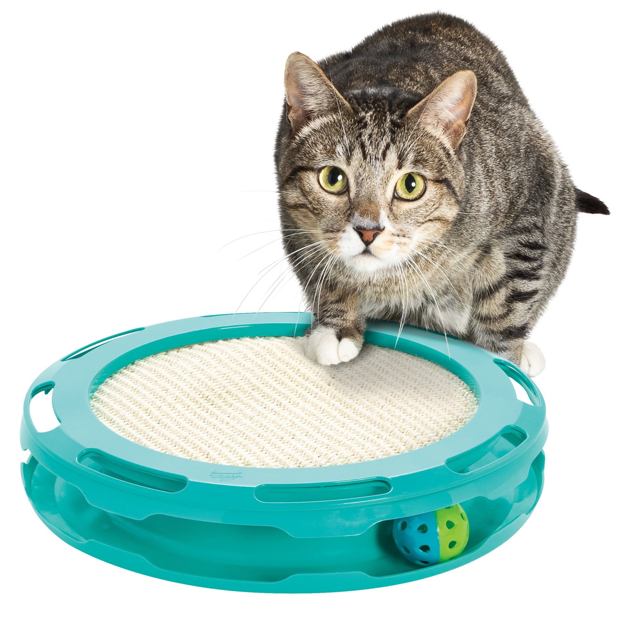Ball Track-Scratcher Cat Toy