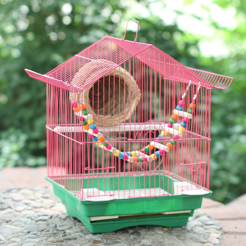 Birdcage Parrot Bird Cage