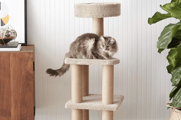 Cat Tree Climber with Ladder