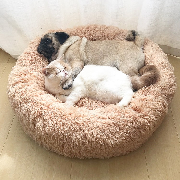 Comfy Calming Dog Cat Bed