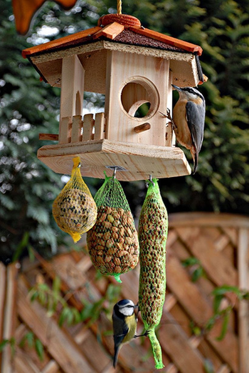 Creative DIY Bird house