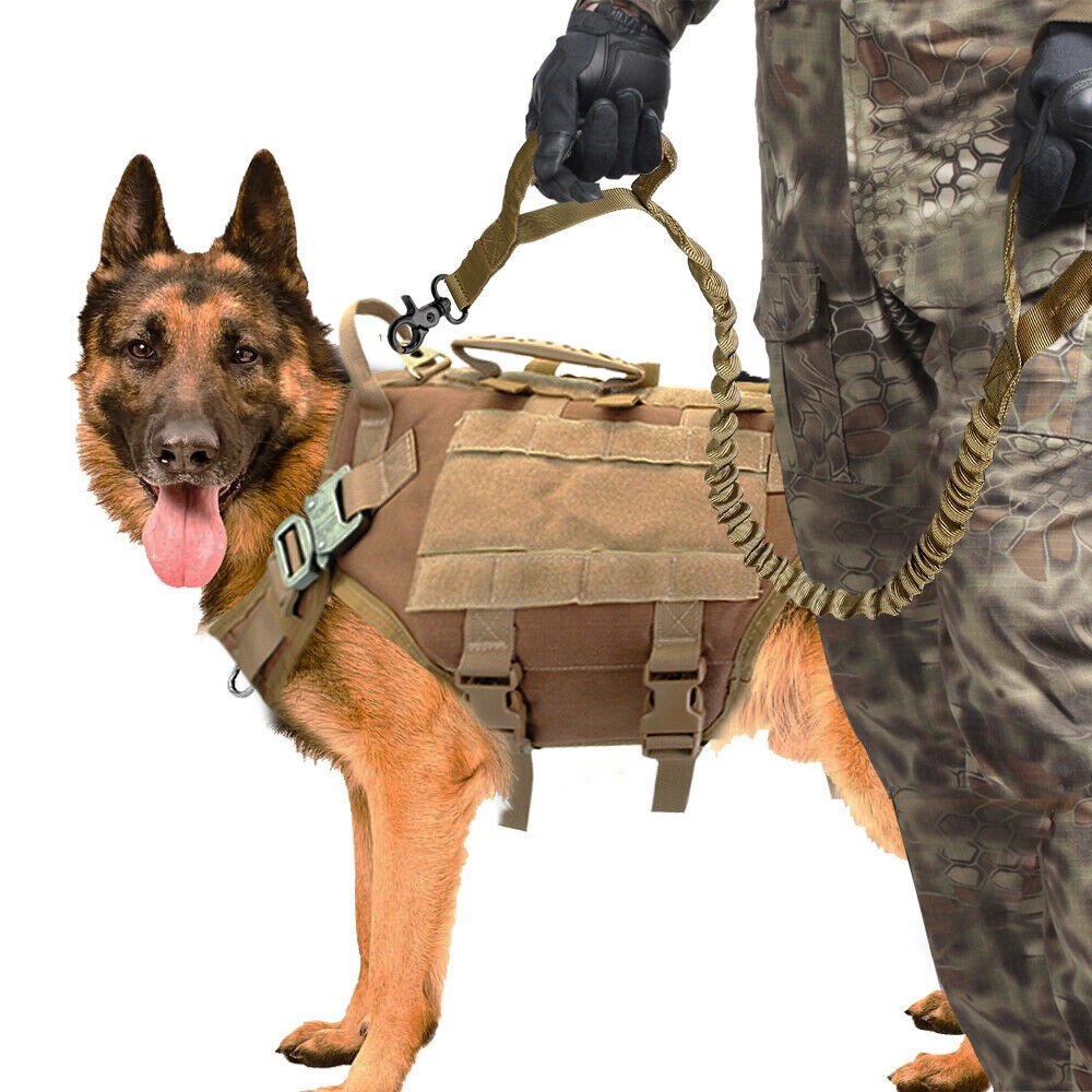 Dog Tactical Vest Leash