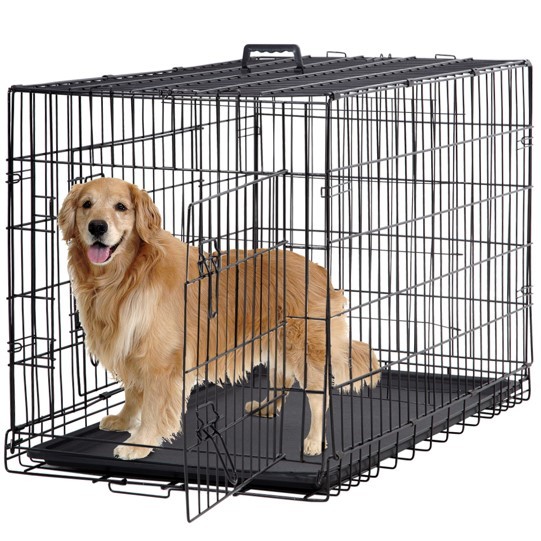 Double-Door Metal Dog Crate
