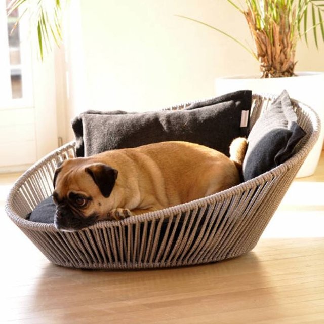 Fancy Dog Beds