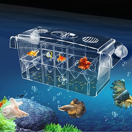 HD Fish Breeding Box