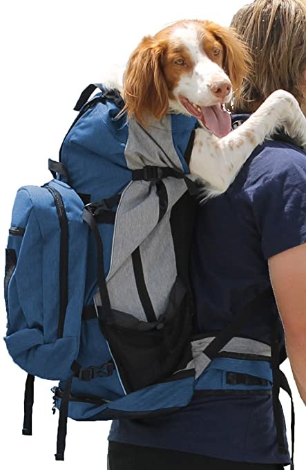 Head Out Bag for Large Dogs