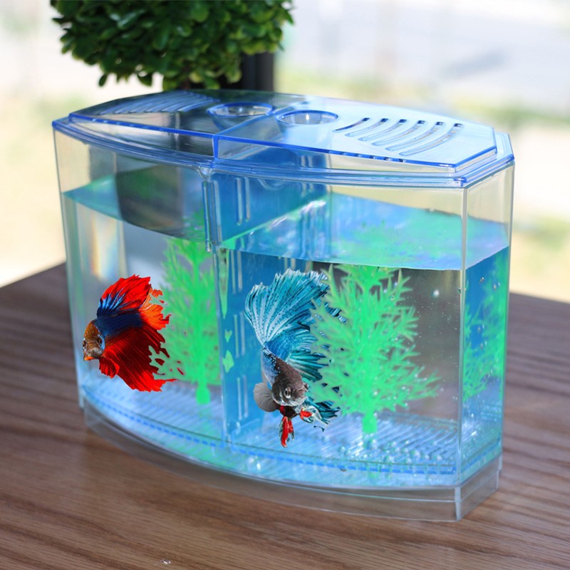 Mini Aquarium Betta Box