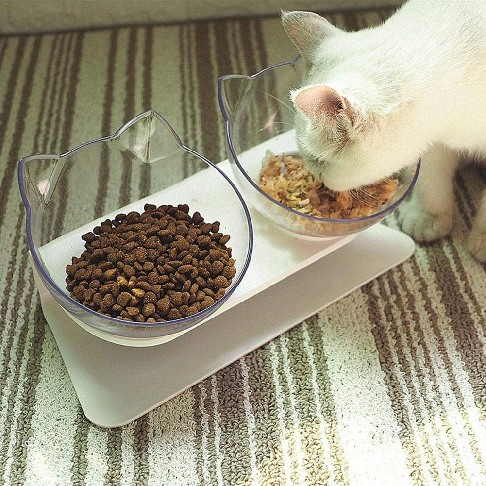 Pet Cats Transparent Bowl