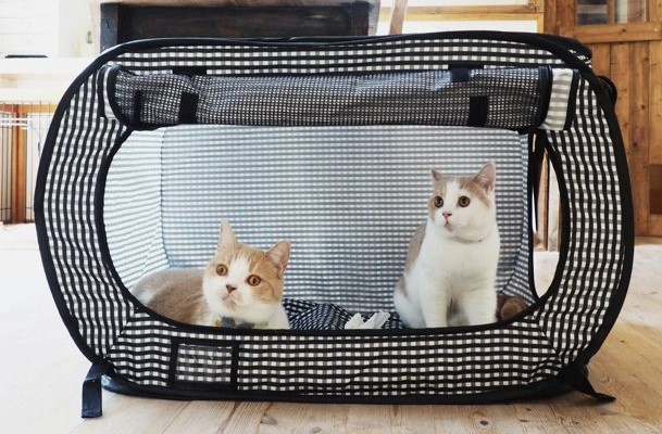 Portable Stress Free Cat Cage
