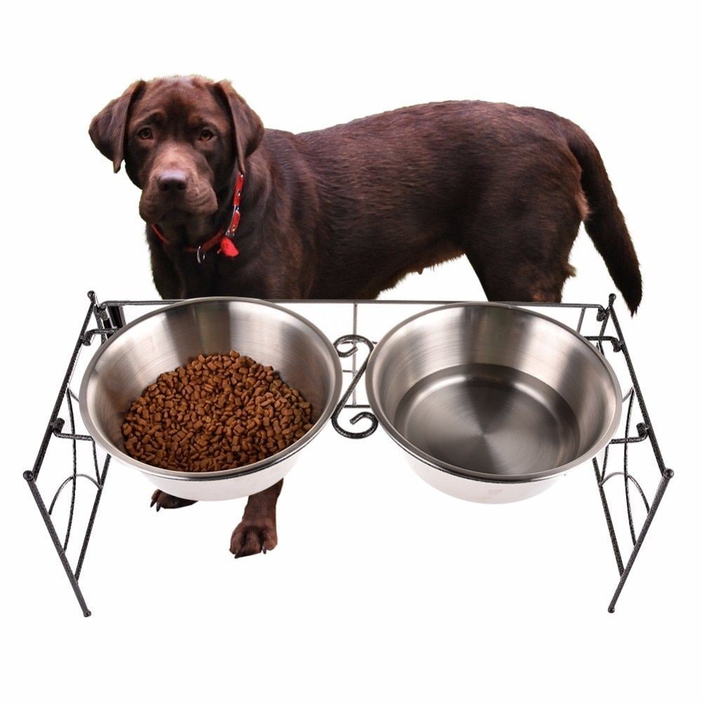 Stainless steel Dog Bowl