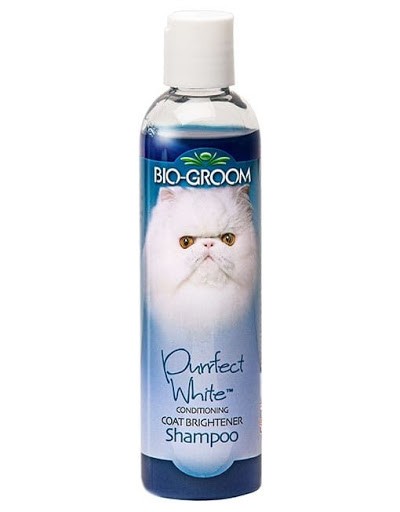 cat bio groom shampoo