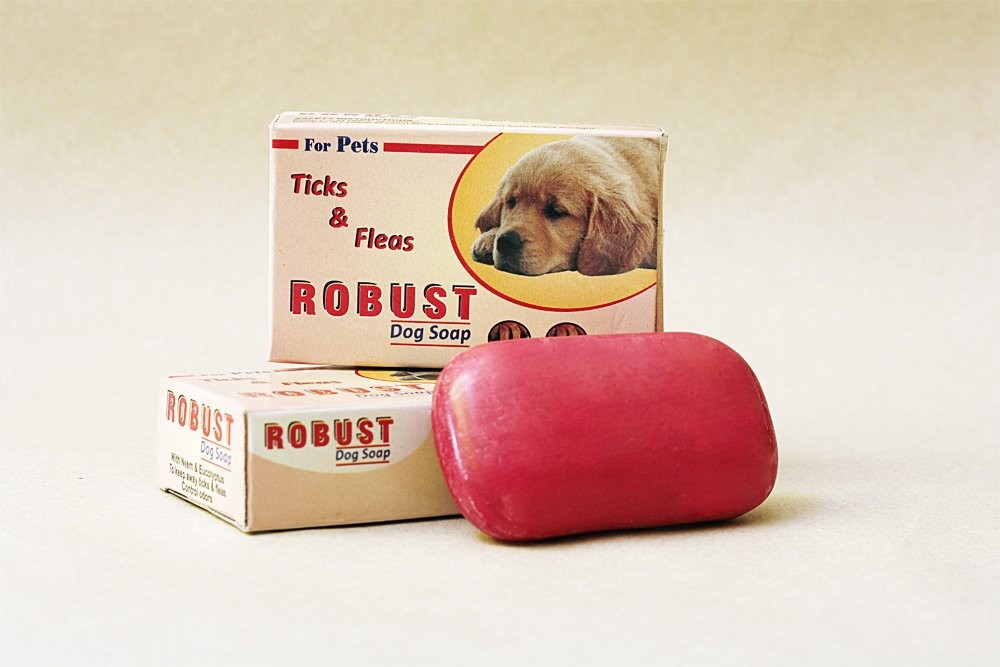 robust dog soap