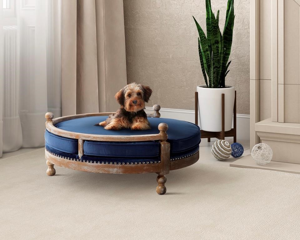 round pet furniture