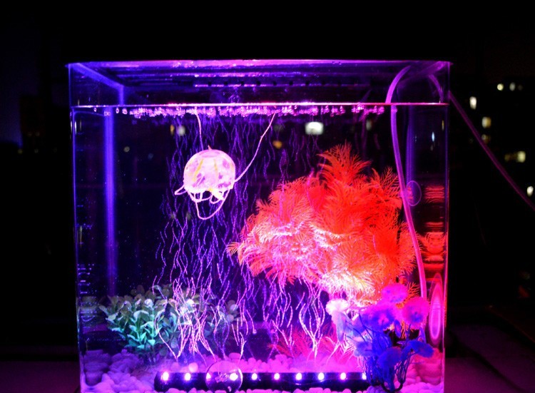 violet Aquarium Fish Tank